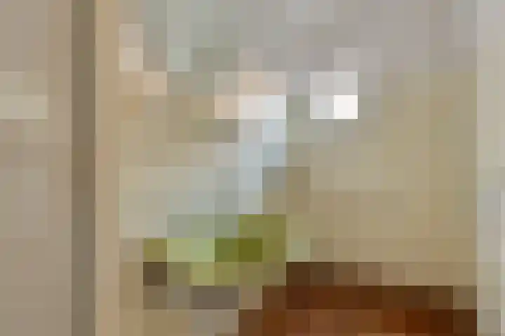 Caspersstraat 25 De Heurne thumbnail 34