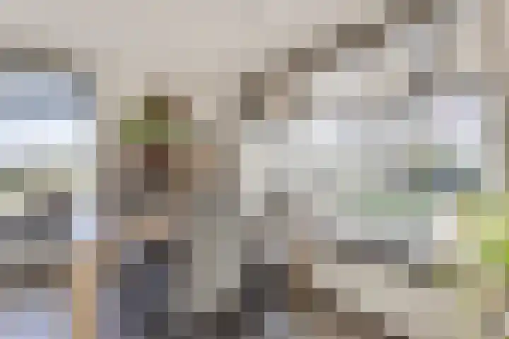 Caspersstraat 25 De Heurne thumbnail 39