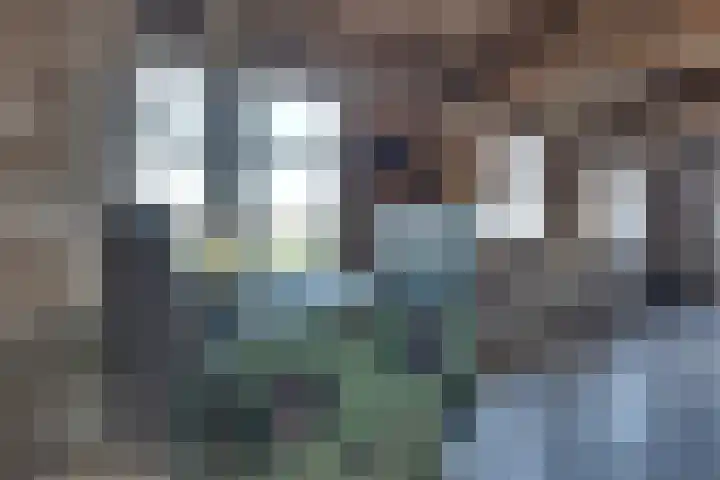 Caspersstraat 25 De Heurne thumbnail 50