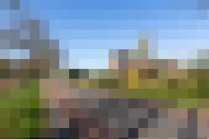 Caspersstraat 25 De Heurne thumbnail 61