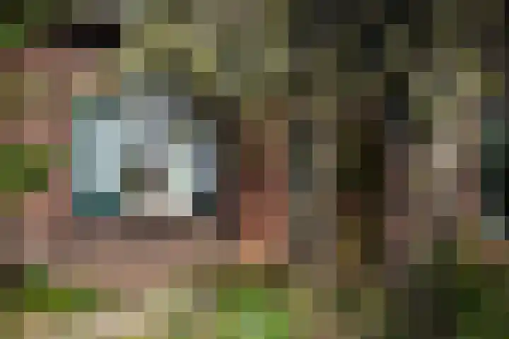 Caspersstraat 25 De Heurne thumbnail 7