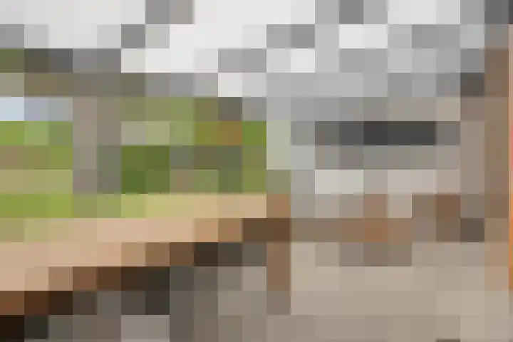 Caspersstraat 27 Opheusden thumbnail 12