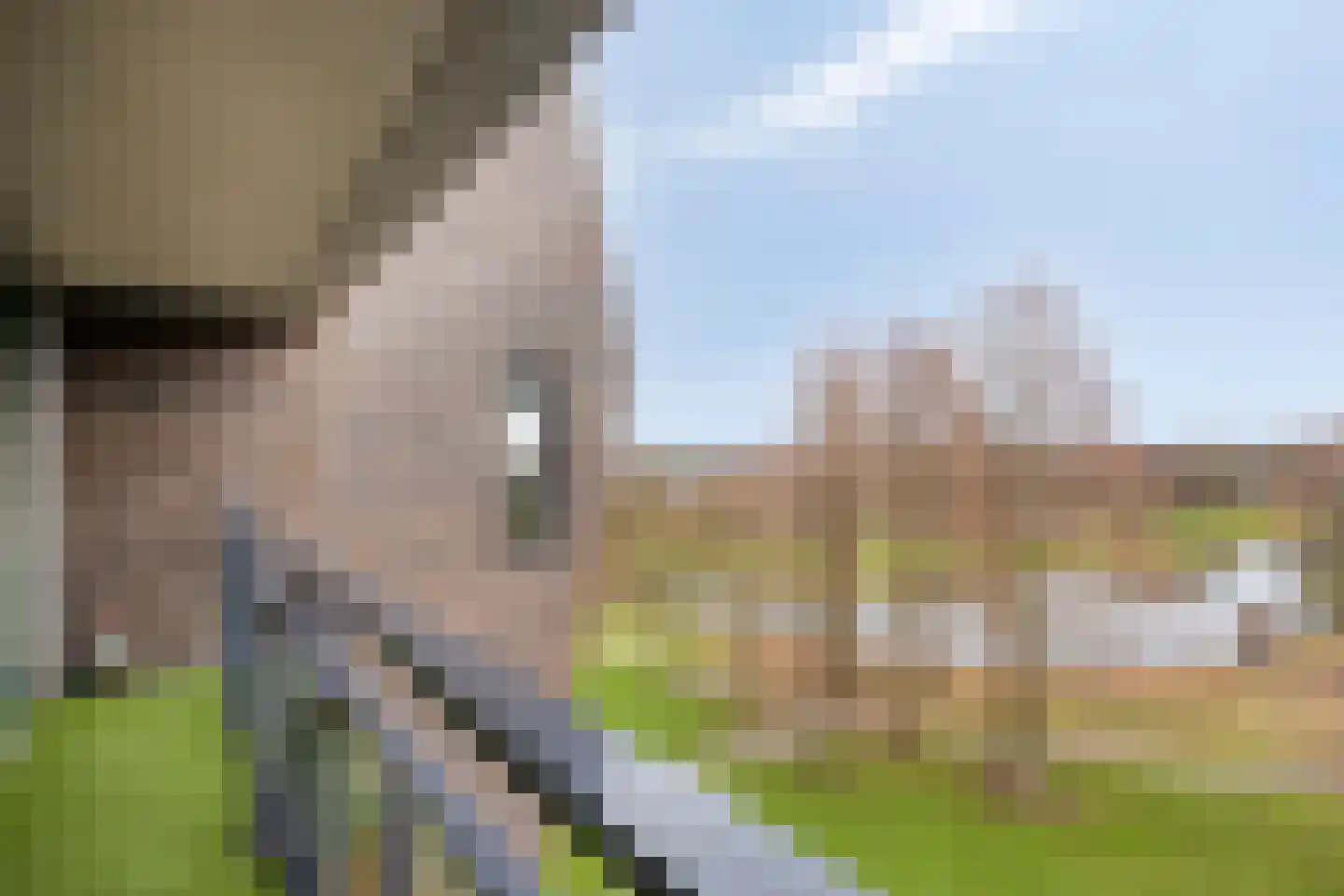 Cassandraplein 28 Eindhoven thumbnail 31