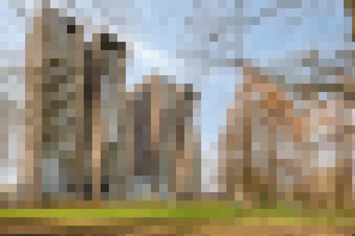 Cassandraplein 28 Eindhoven thumbnail 37