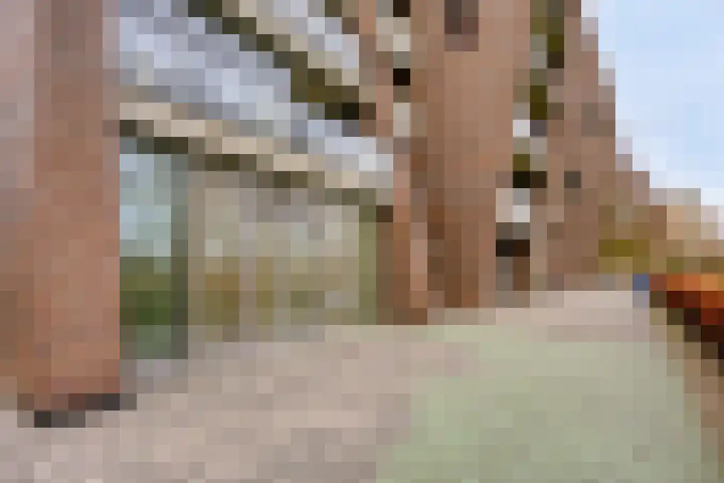 Cassandraplein 28 Eindhoven thumbnail 41