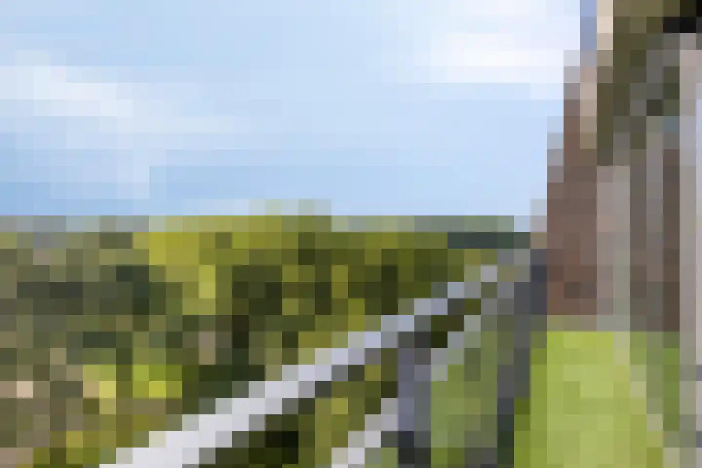Cassandraplein 33 Eindhoven thumbnail 20