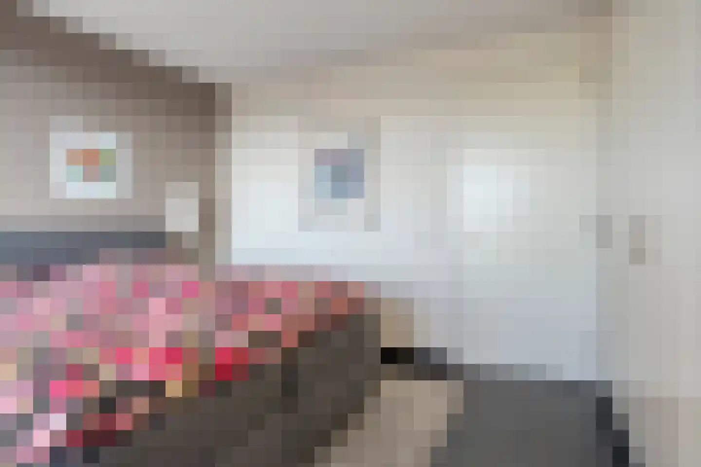 Cassandraplein 33 Eindhoven thumbnail 24