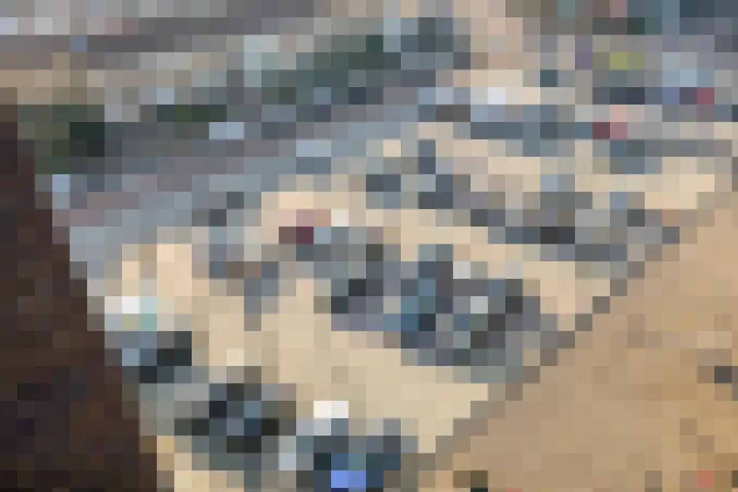 Cassandraplein 33 Eindhoven thumbnail 26