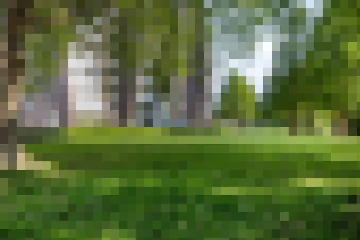 Cassandraplein 33 Eindhoven thumbnail 38