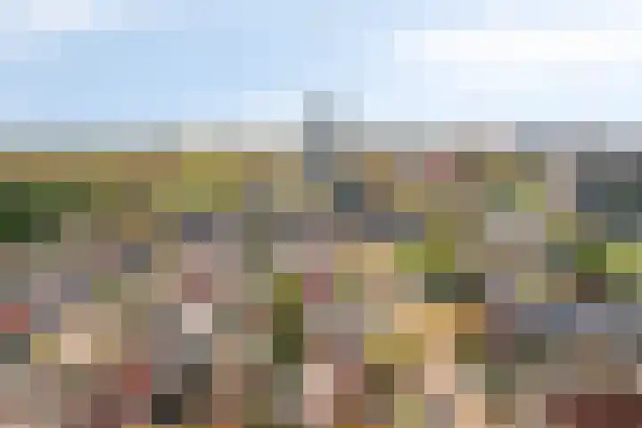 Cassandraplein 44 Eindhoven thumbnail 19
