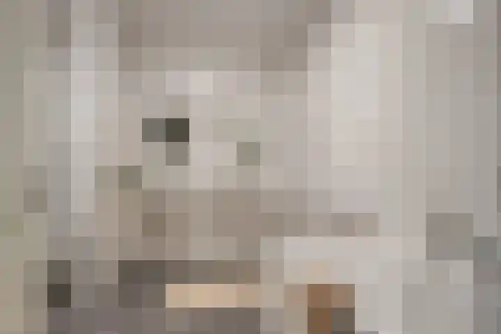 Cassandraplein 44 Eindhoven thumbnail 27