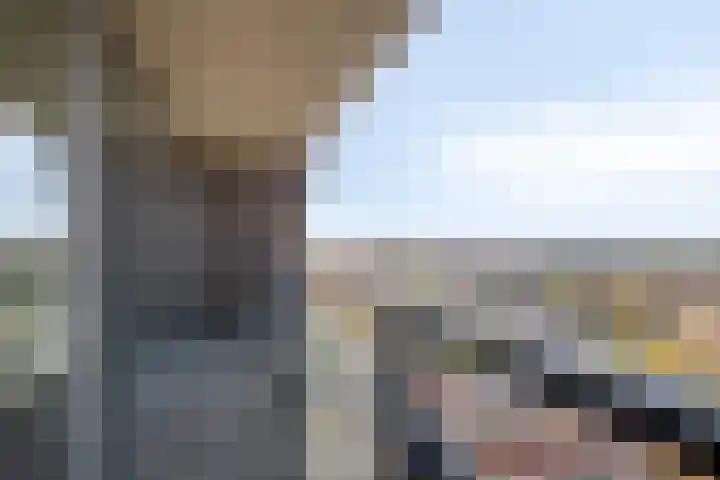 Cassandraplein 44 Eindhoven thumbnail 32