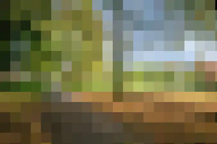 Cassandraplein 44 Eindhoven thumbnail 40