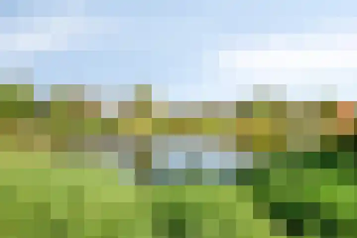 Cassandraplein 44 Eindhoven thumbnail 41
