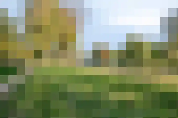 Cassandraplein 44 Eindhoven thumbnail 43