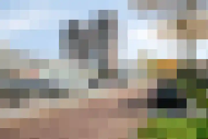 Cassandraplein 44 Eindhoven thumbnail 6
