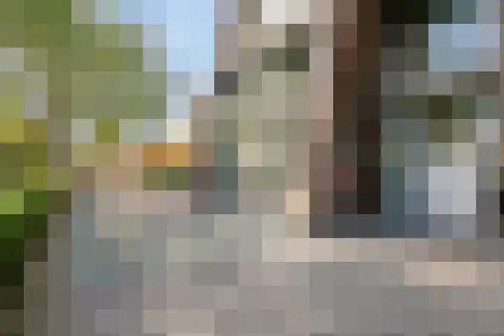 Cassandraplein 44 Eindhoven thumbnail 7