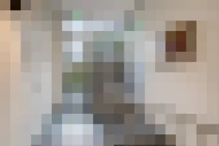Cassandraplein 44 Eindhoven thumbnail 8