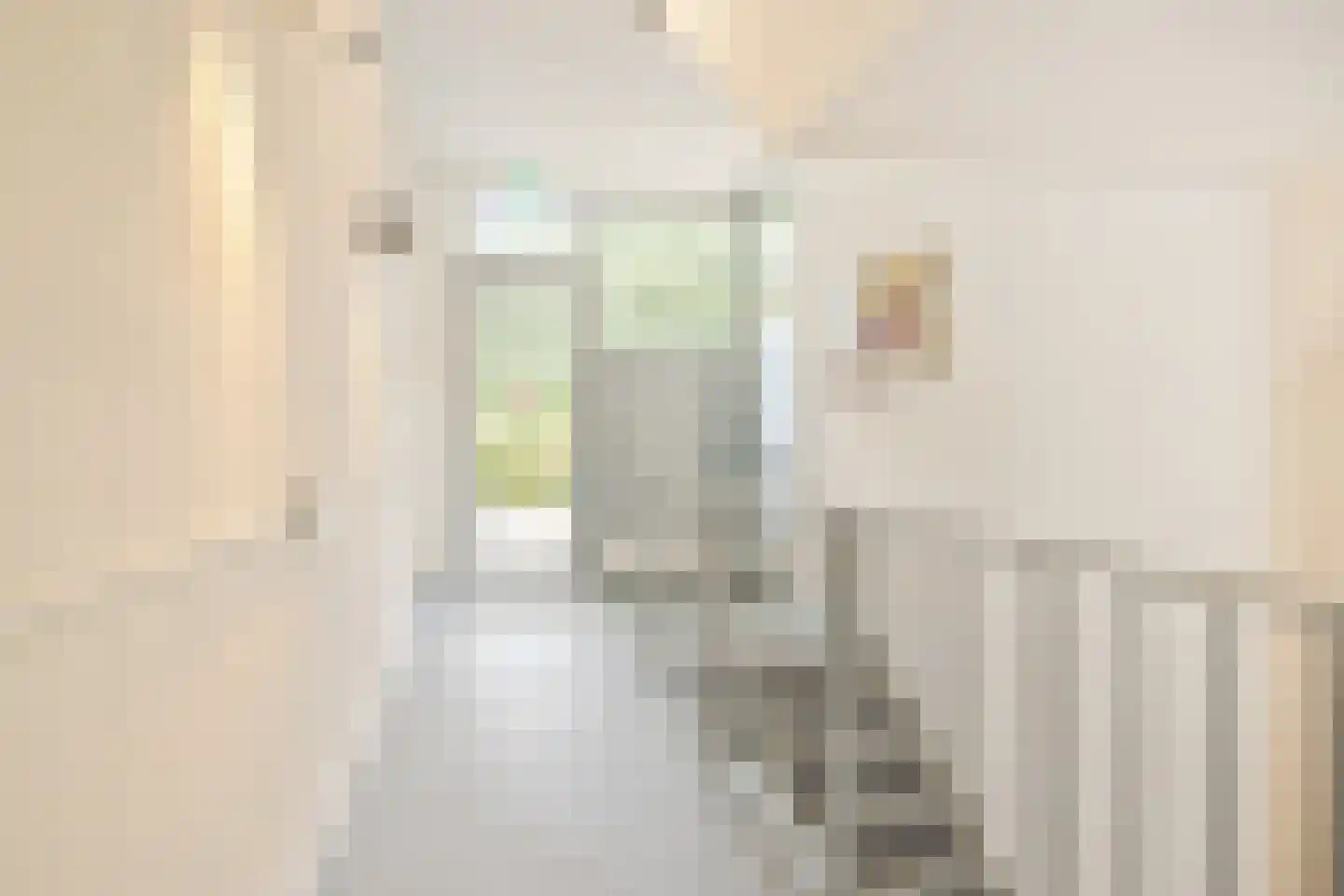 Cassandraplein 49 Eindhoven thumbnail 10