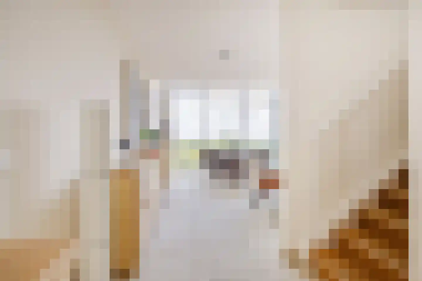 Cassandraplein 49 Eindhoven thumbnail 19