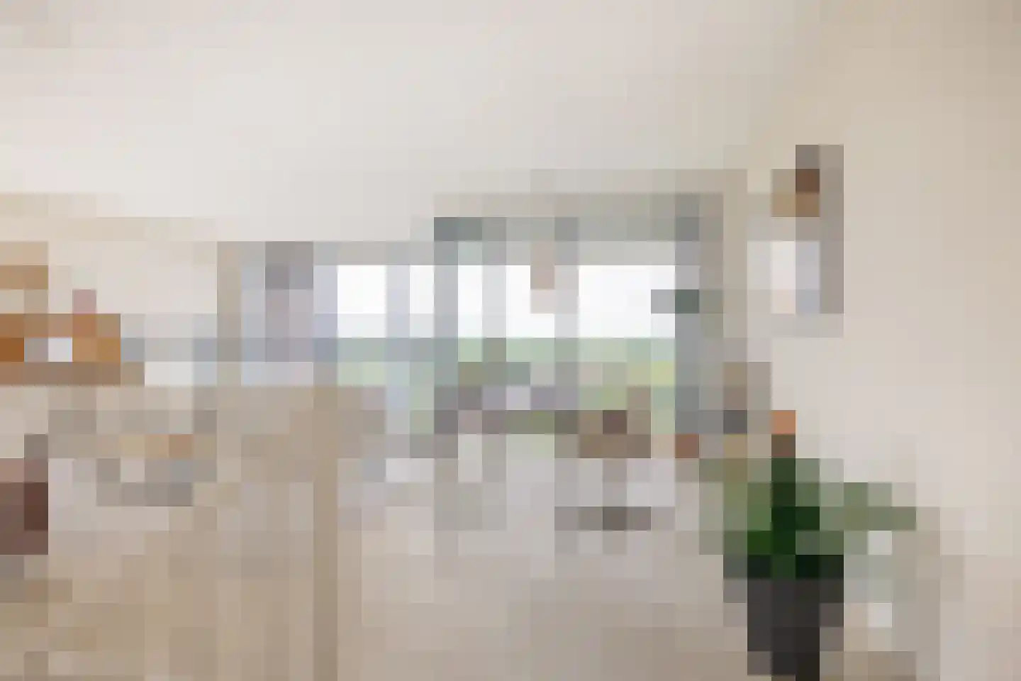 Cassandraplein 49 Eindhoven thumbnail 20