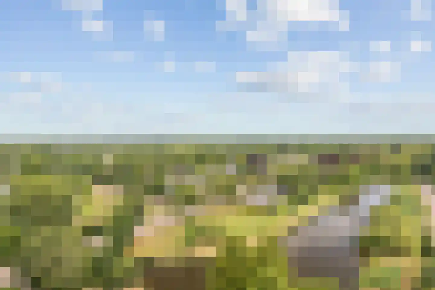 Cassandraplein 49 Eindhoven thumbnail 23