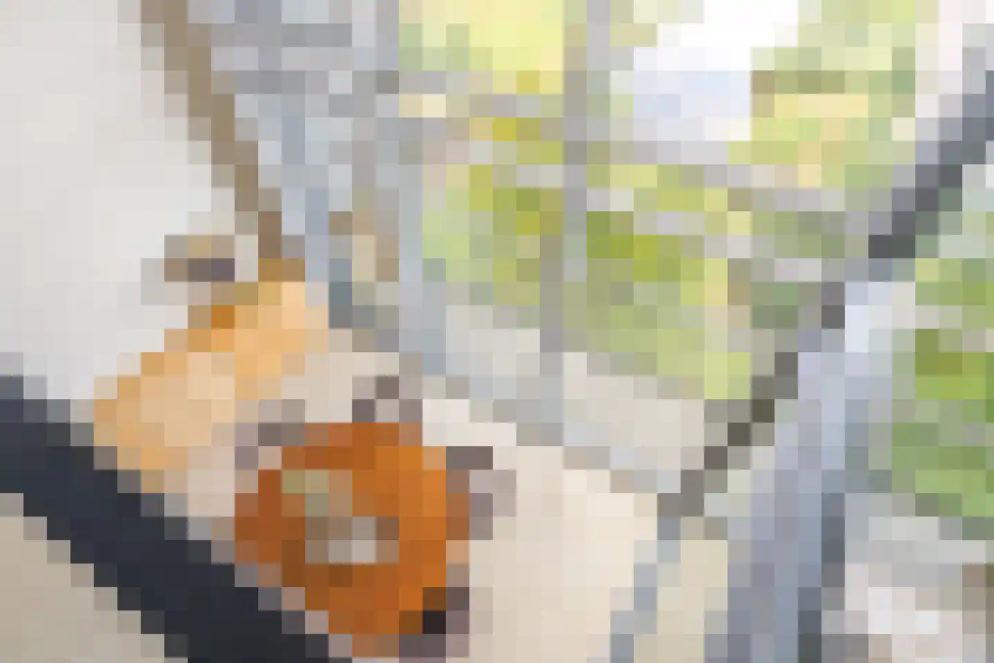 Cassandraplein 49 Eindhoven thumbnail 35