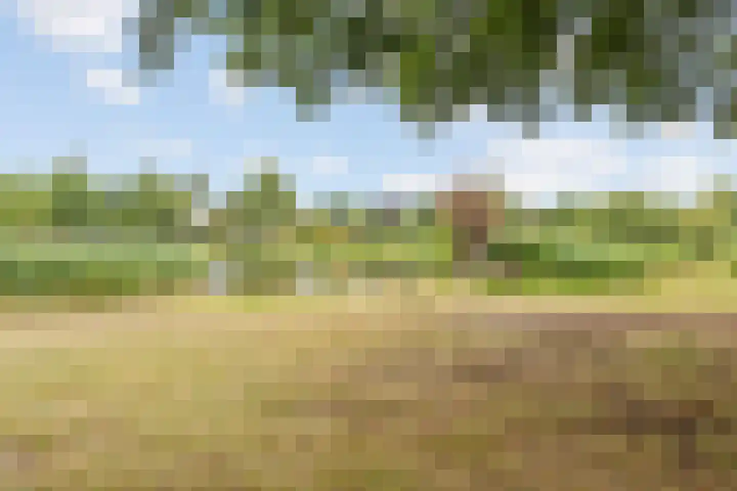 Cassandraplein 49 Eindhoven thumbnail 46