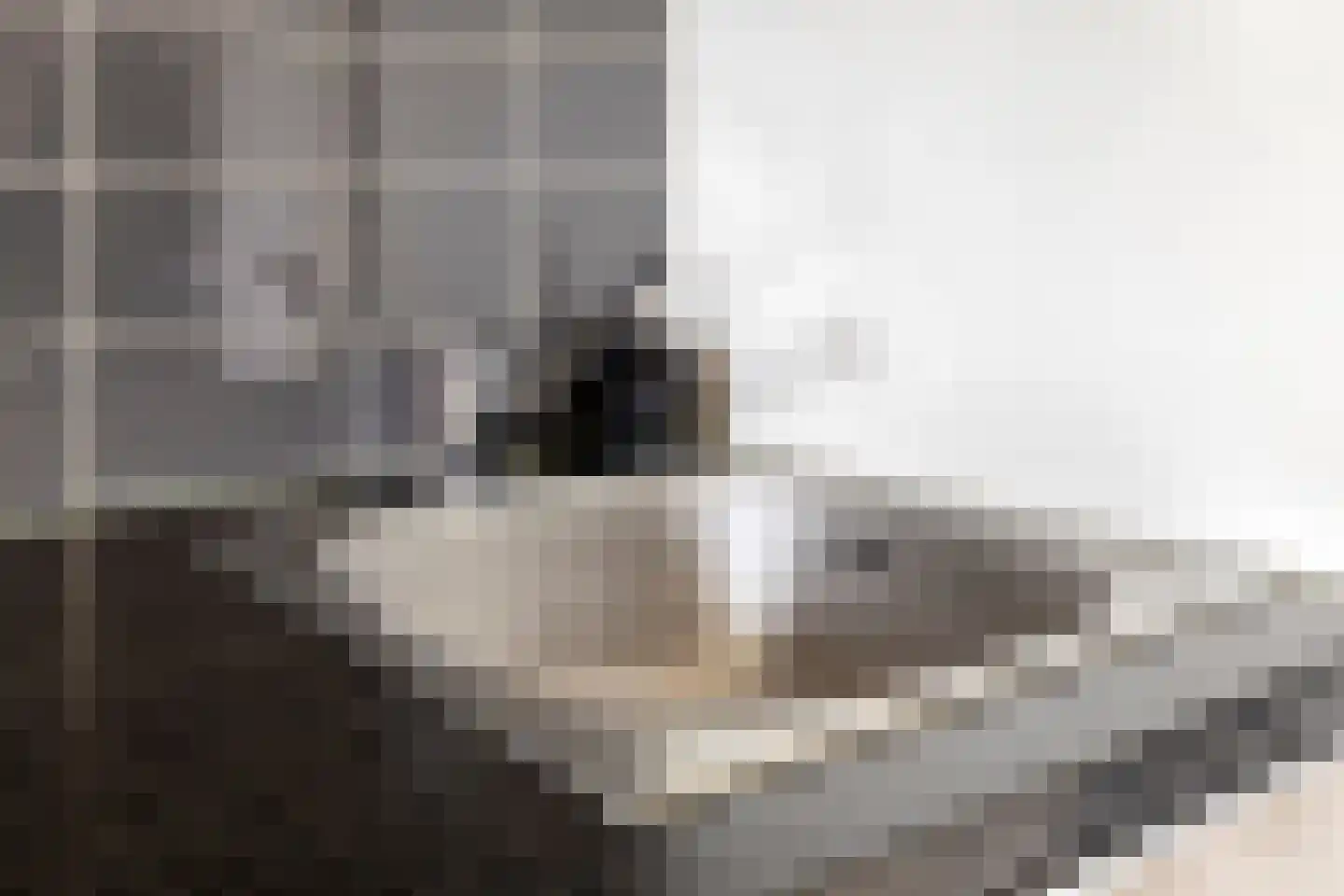 Cassandraplein 5 04 Eindhoven thumbnail 14