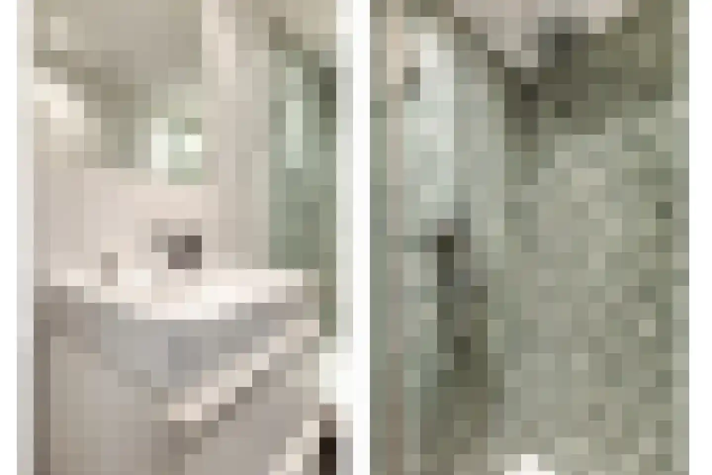 Cassandraplein 5 04 Eindhoven thumbnail 15
