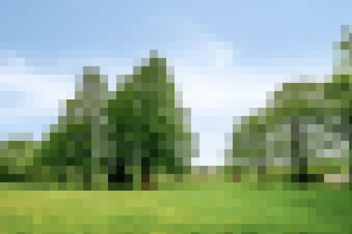 Cassandraplein 5 06 Eindhoven thumbnail 32
