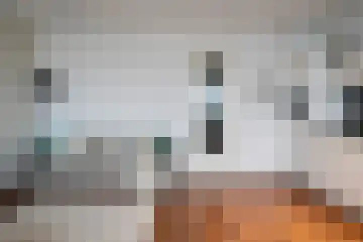 Cassandraplein 5 19 Eindhoven thumbnail 11
