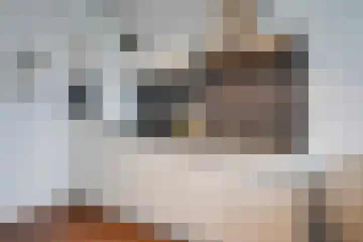 Cassandraplein 5 19 Eindhoven thumbnail 14