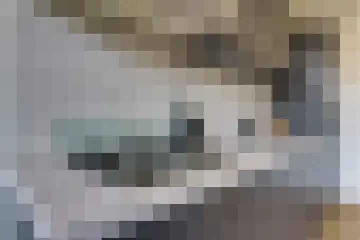 Cassandraplein 5 34 Eindhoven thumbnail 10