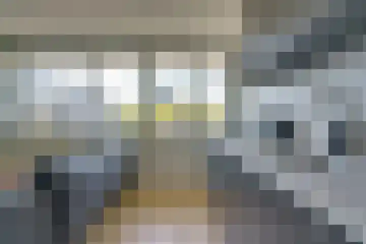 Cassandraplein 5 34 Eindhoven thumbnail 4