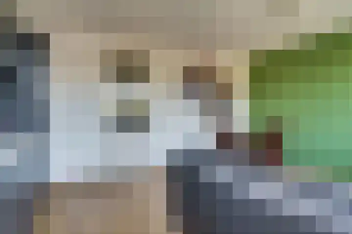 Cassandraplein 5 34 Eindhoven thumbnail 6