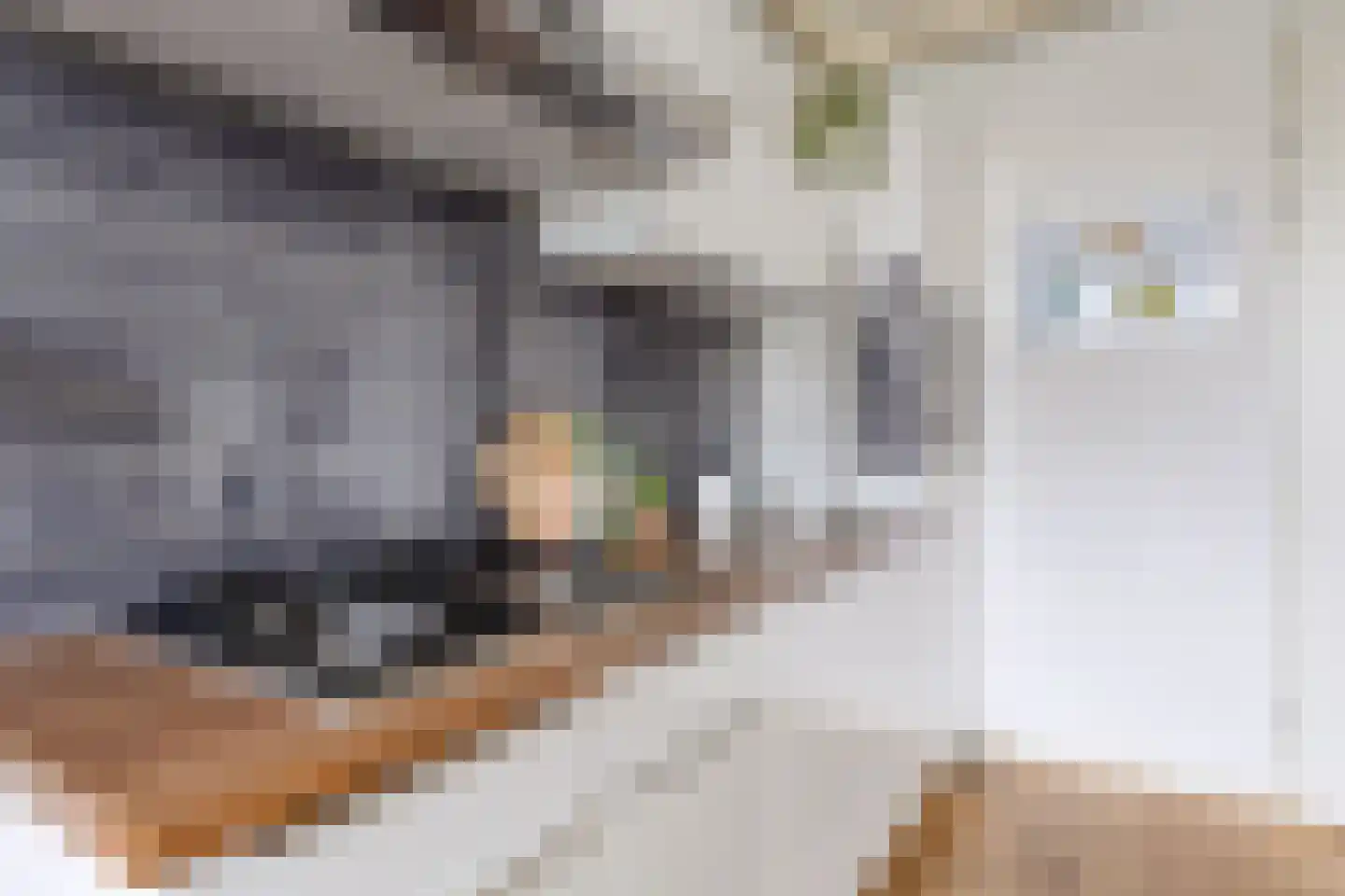 Cassandraplein 5 38 Eindhoven thumbnail 22