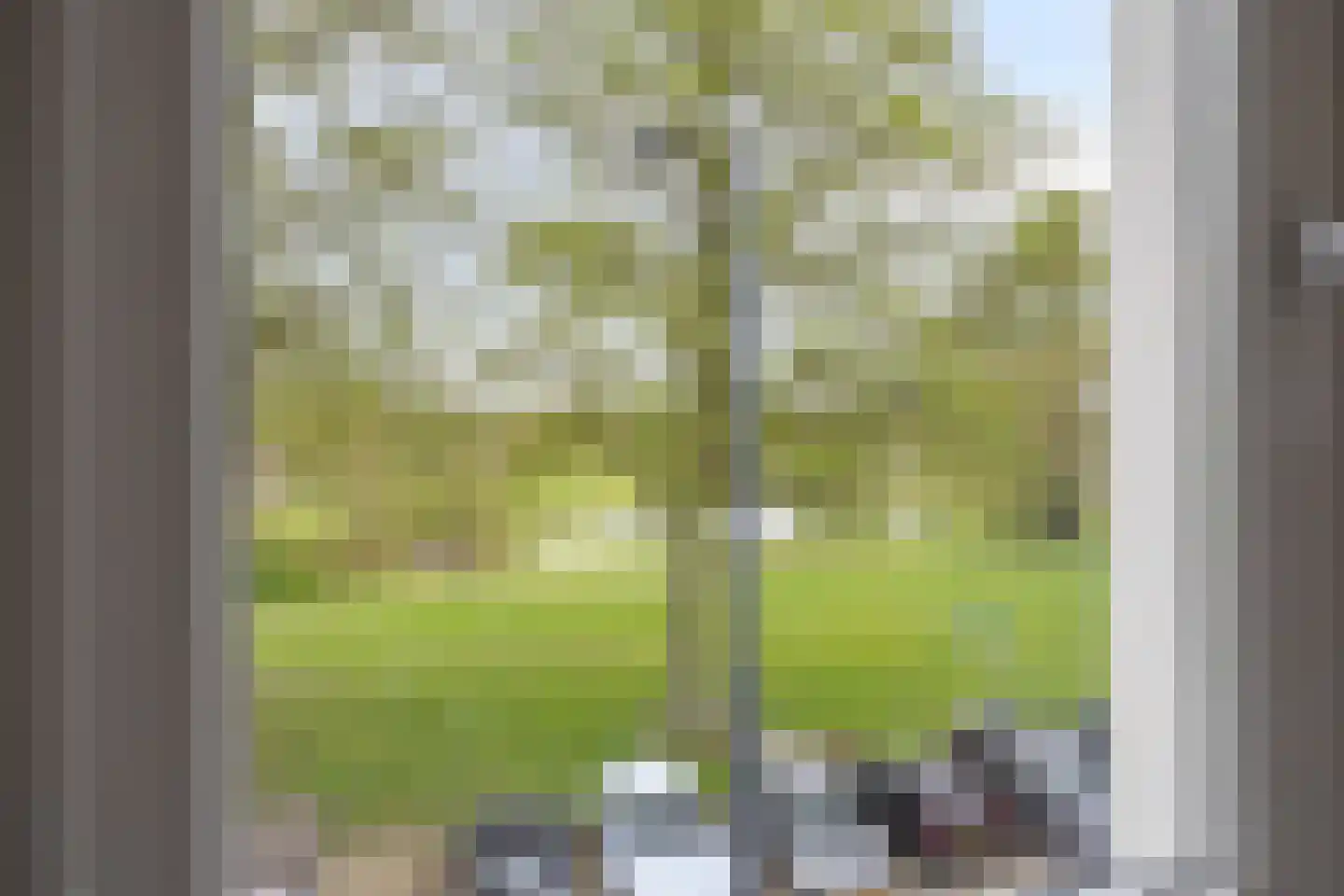 Cassandraplein 92 Eindhoven thumbnail 31
