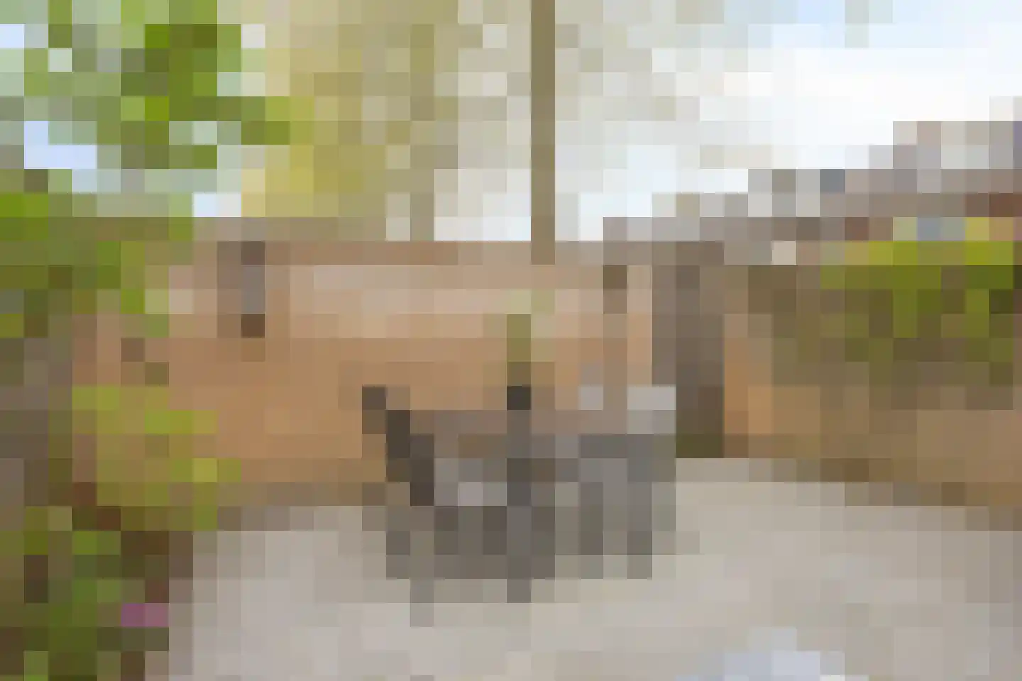 Cassandraplein 92 Eindhoven thumbnail 35