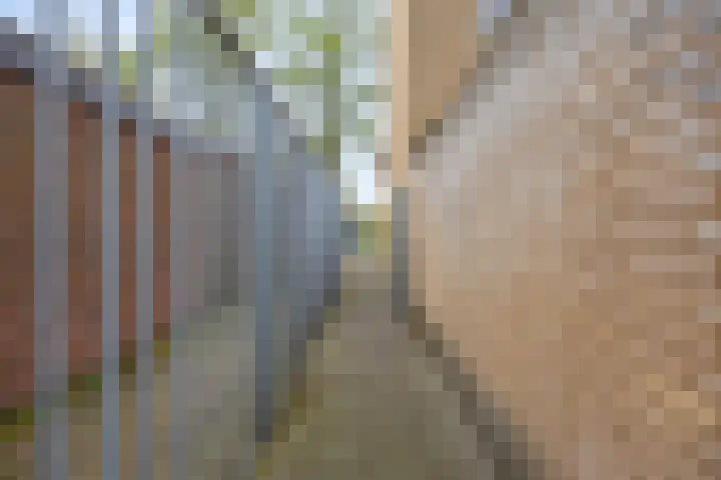 Cassandraplein 92 Eindhoven thumbnail 38