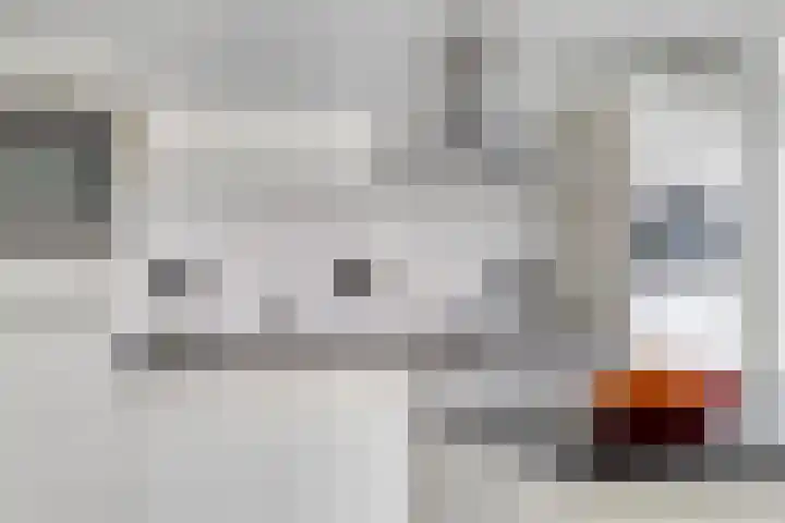 Cassédonk 19 Maastricht thumbnail 16