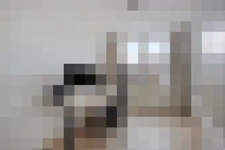 Cassédonk 19 Maastricht thumbnail 22