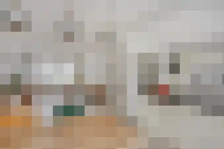 Cassédonk 19 Maastricht thumbnail 4