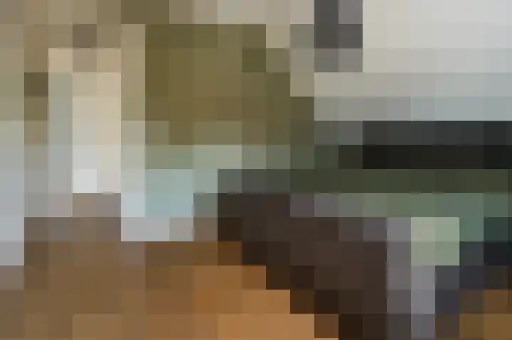 Casseweg 3 D Ospel thumbnail 17