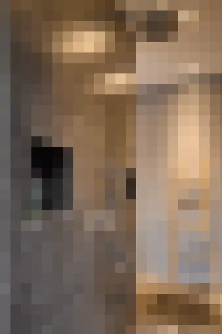 Casseweg 3 D Ospel thumbnail 20