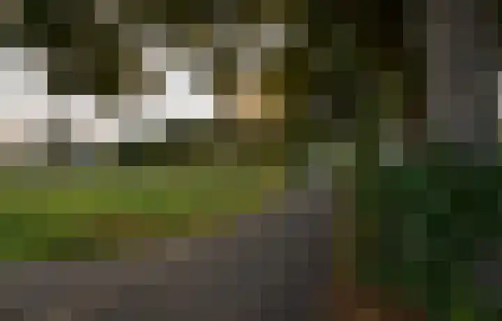 Casseweg 3 D Ospel thumbnail 39