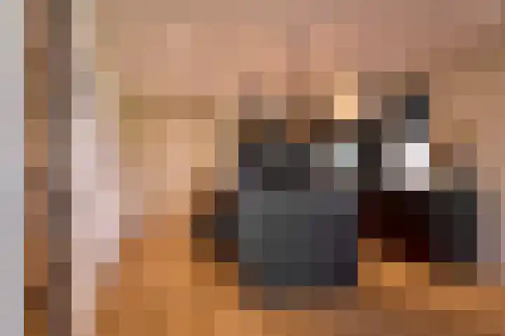Casseweg 3 D Ospel thumbnail 6