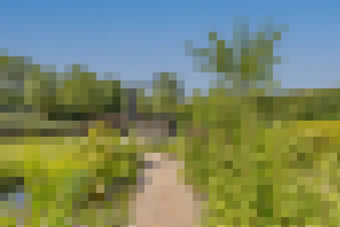 Cassinstraat 17 Middelburg thumbnail 24