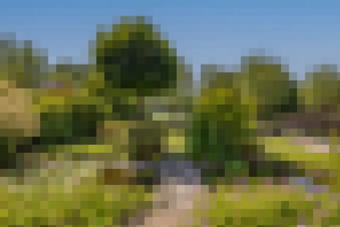 Cassinstraat 17 Middelburg thumbnail 26