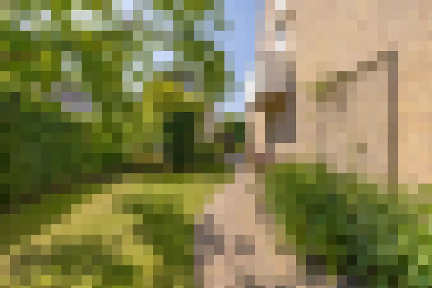Cassinstraat 17 Middelburg thumbnail 35